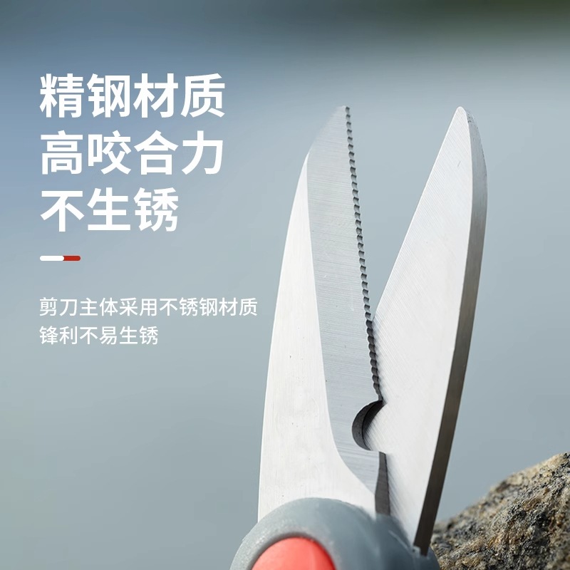 Forbici da Pesca Fanceey - per - Fluorocarbon Line recensione e prezzo