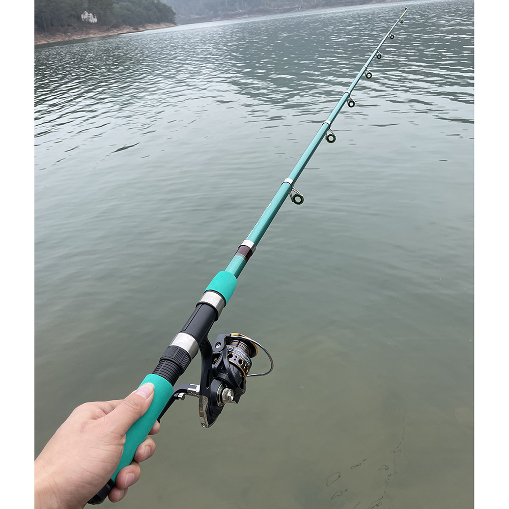 Bass Pike canna da pesca alla  - Fishing Equipment Europe recensione e prezzo